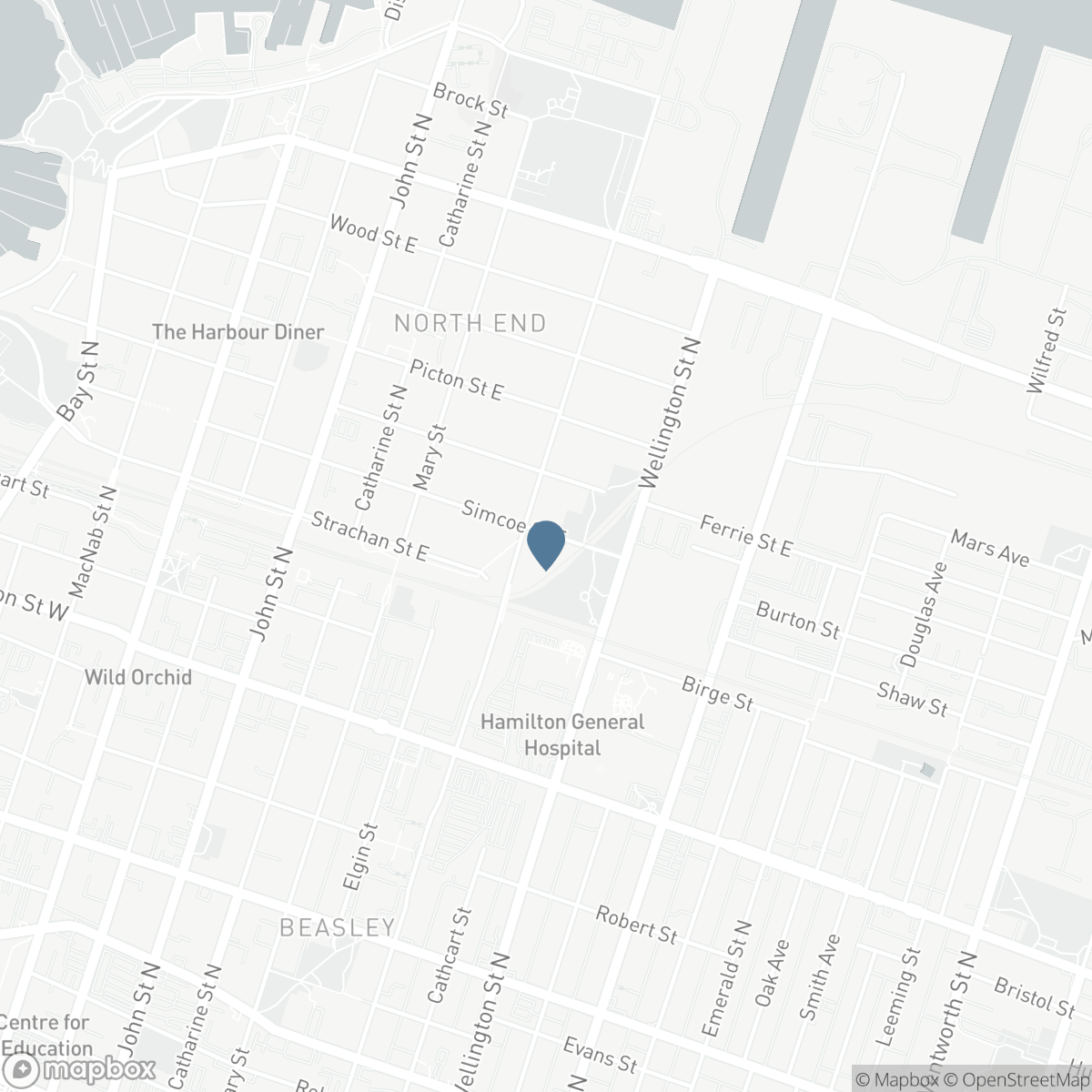 196 SIMCOE STREET E, Hamilton, Ontario L8L 3P1